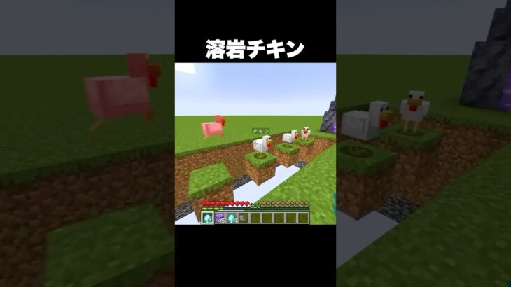 溶岩チキンを演奏 #shorts #マインクラフト #マイクラ