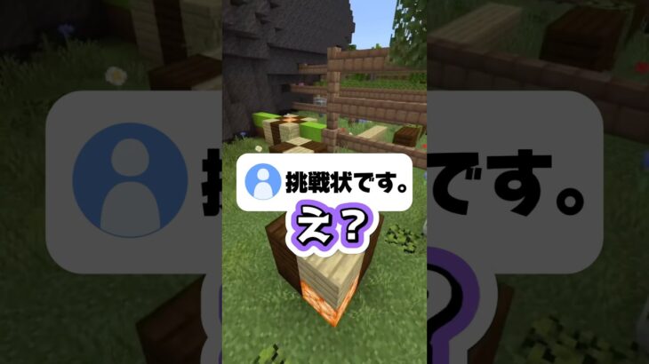 視聴者からまた挑戦状が届きました。#shorts #マイクラ