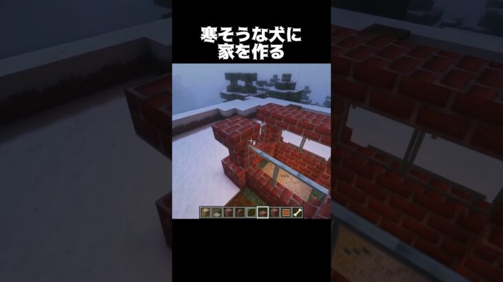 寒そうな犬のために… #shorts #マインクラフト #マイクラ