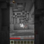 家に入ると足元には… #マイクラ #マインクラフト #shorts
