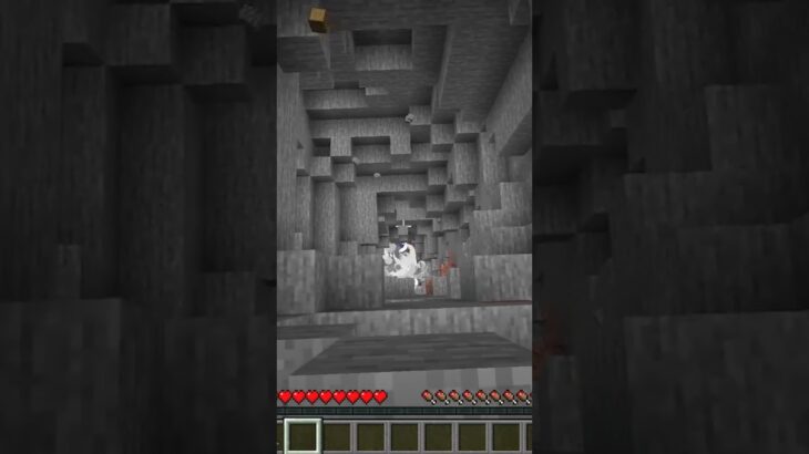 家に入ると足元には… #マイクラ #マインクラフト #shorts