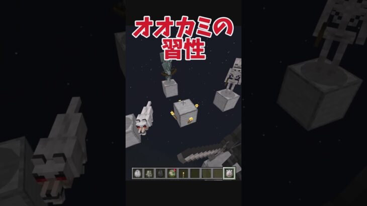 オオカミの習性 #マイクラ #マインクラフト #shorts
