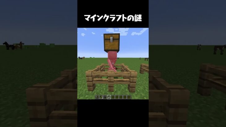 マインクラフトの謎 #マインクラフト #マイクラ #shorts
