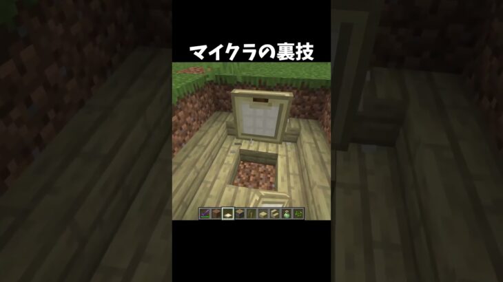 地面を透視する方法！#shorts#マインクラフト#マイクラ