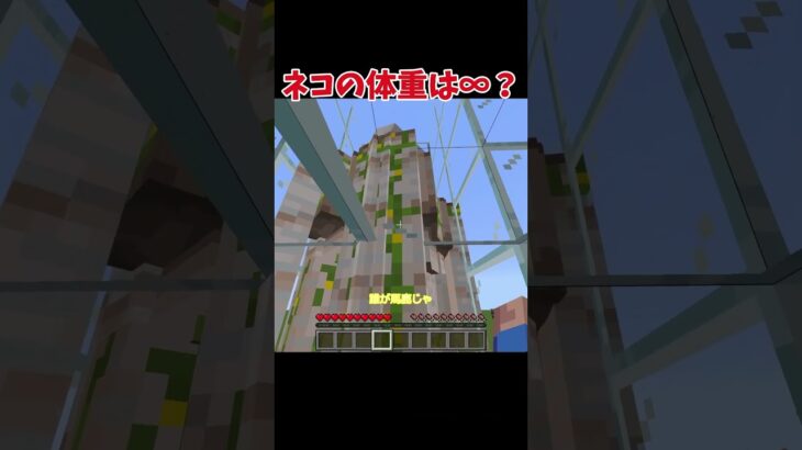 ネコの体重は∞？ #マイクラ #shorts