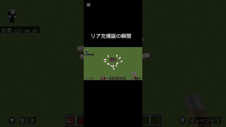リア充爆誕の瞬間#shorts#マイクラ#マインクラフト#リア充