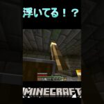 松明が浮いてる？バグ？【マイクラ】#shorts