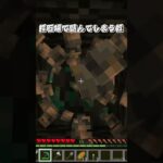 採石場で詰んでしまう奴　#shorts#マイクラ