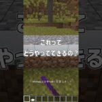 【マイクラ】コマンド・クリエでも出ないブロック！？  #マイクラ#shorts