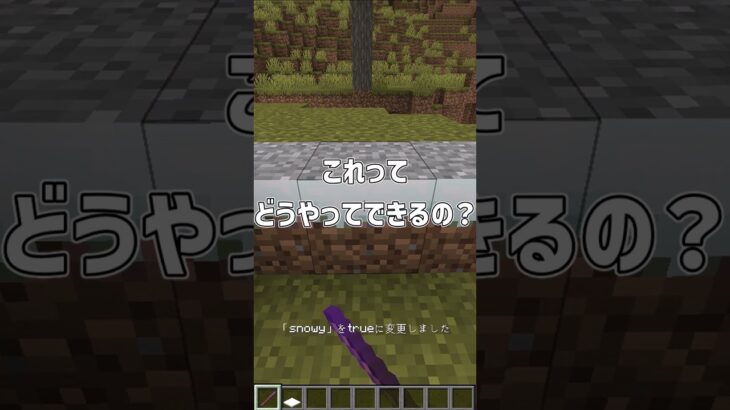 【マイクラ】コマンド・クリエでも出ないブロック！？  #マイクラ#shorts