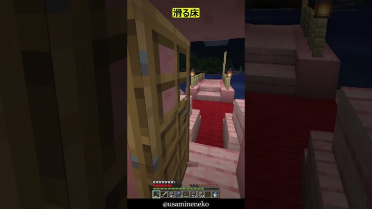 【マイクラ】友人の家にアイススケートをこっそり作りました【悪用禁止】#ショート #shorts