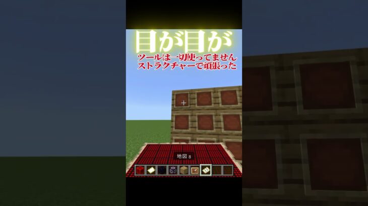【マイクラ】目が！地図アート #マイクラ #shorts
