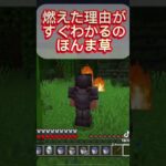 燃えた理由がすぐわかるの草#マイクラ #ゲーム #実況 #shorts