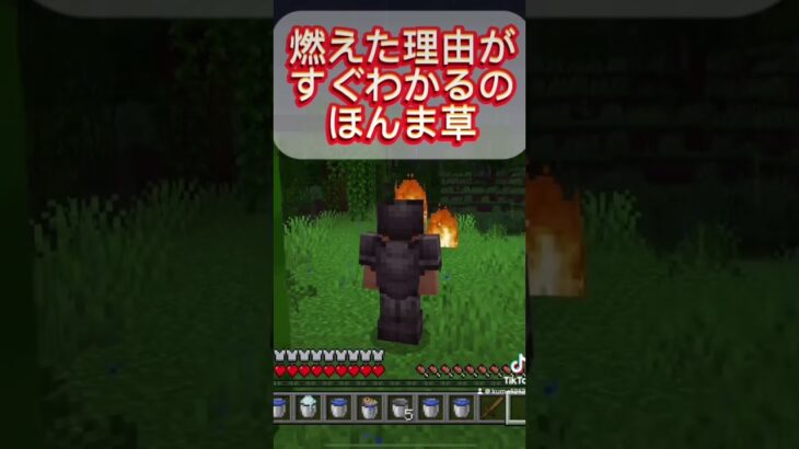 燃えた理由がすぐわかるの草#マイクラ #ゲーム #実況 #shorts