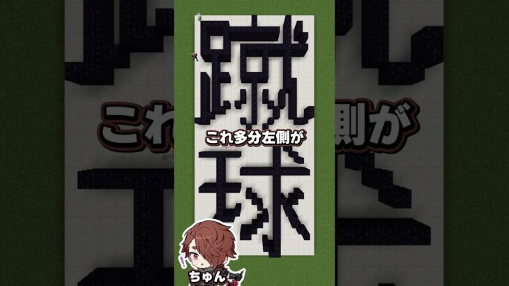 【マイクラ地上文字】地上に書かれてる文字を当てろ！#マイクラ実況 #上限突破 #マイクラ #shorts