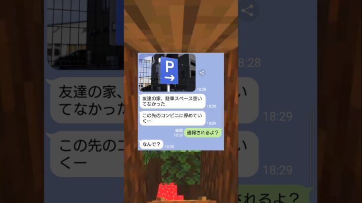 コンビニ駐車場を私物化した女の末路ｗｗ　#マイクラ #スカっと #shorts