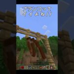 リアルなブラコン #shorts #minecraft #マイクラ #中学生 #マイクラ統合版