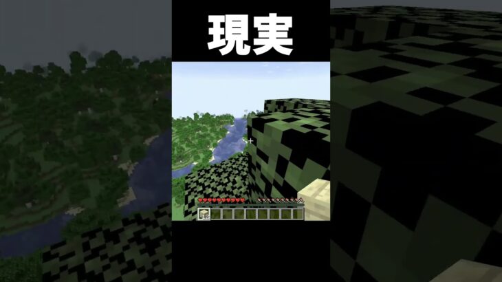 理想と現実　#shorts  #minecraft  #マイクラ