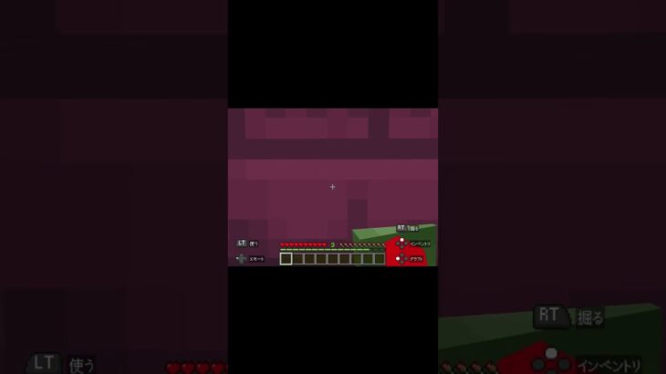 家の中には〜？#shorts #minecraft #マイクラ #マインクラフト
