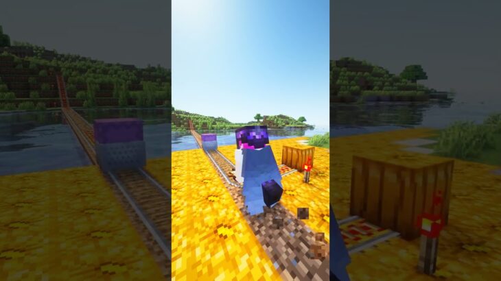 シュルカーも旅立たせないと、、、#shorts #マイクラ #マインクラフト #minecraft