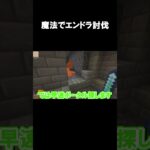 魔法でエンドラ討伐#shorts #マインクラフト #マイクラ #minecraft