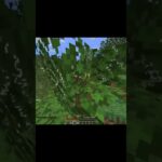 豆知識⁉#shorts  #minecraft #一分でわかる #マイクラ#gaming  #まいくら #マインクラフト #プチ知識