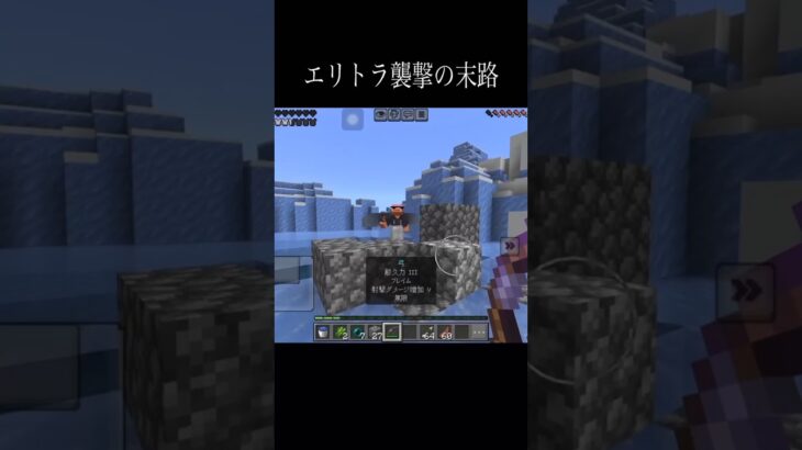【オススメ】エリトラ襲撃した奴の末路 #shorts #minecraft #gaming #マイクラ