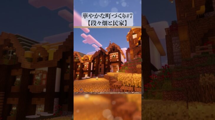 ー段々畑×民家×音楽ー #shorts #マイクラ #マイクラ建築  #マインクラフト #minecraft #minecraftbuilding