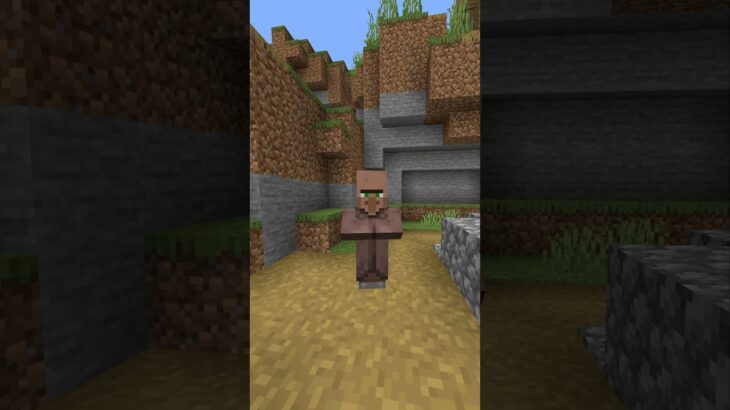 マイクラ村人になに聞いてるか質問してみた#shorts #マイクラ #マインクラフト #minecraft #minecraftshorts #subscribe