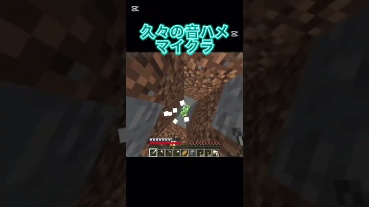 久々の音ハメマイクラ #shorts #short #マイクラ #minecraft
