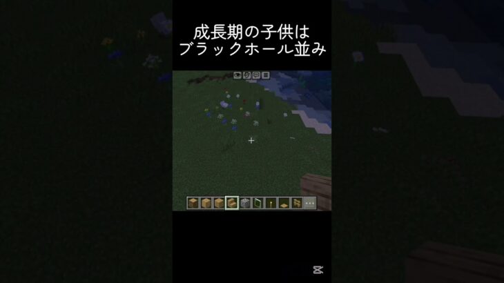 企画準備中の出来事… #shots #マイクラ #中学2年生 #minecraft #マインクラフト #ゲーム #中学生 #810