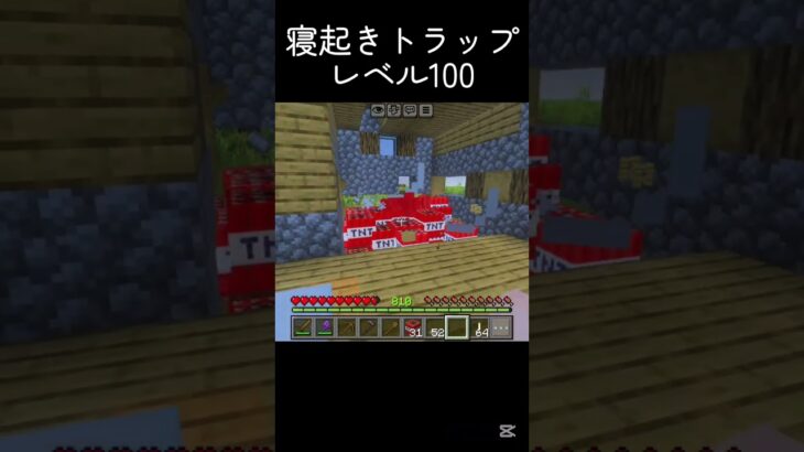 村人もびっくり #shots #マイクラ #中学2年生 #minecraft #マインクラフト #中学生 #ゲーム #810