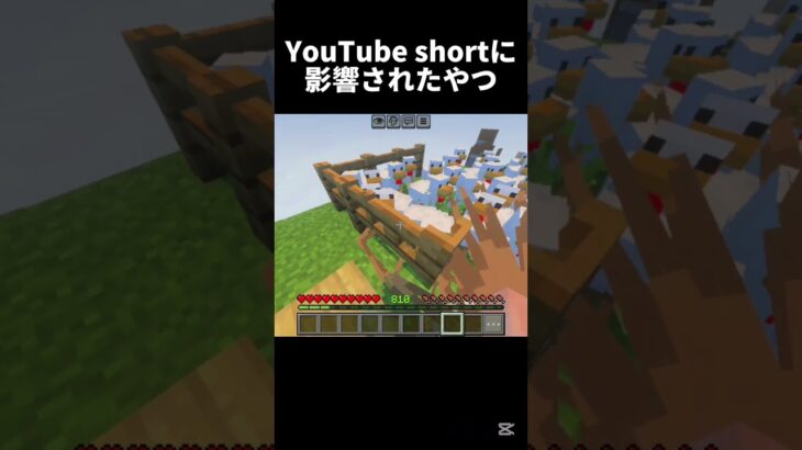 鳥に憧れたやつ #shots #マイクラ #中学2年生 #minecraft #マインクラフト #ゲーム #中学生 #810