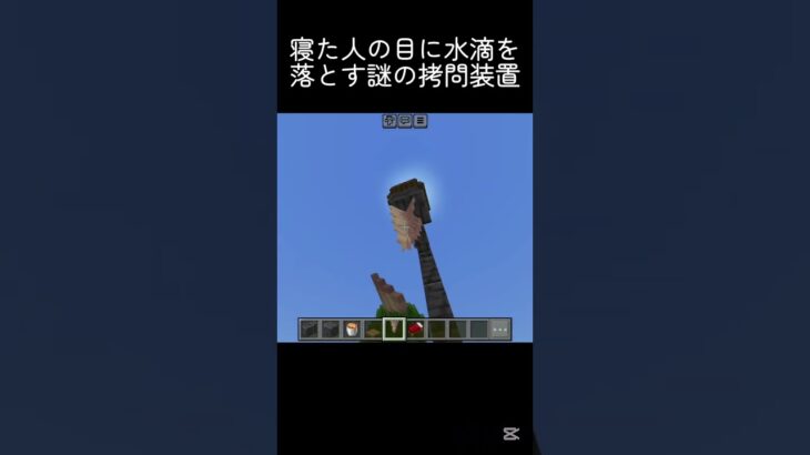 熱い目薬 #shots #マイクラ #minecraft #中学生 #マインクラフト