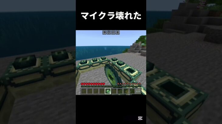 ﾃﾞｪｪｪｪｪｪﾝ(音量注意) #shots #minecraft #中学2年生 #マイクラ #マインクラフト #中学生 #ゲーム #810