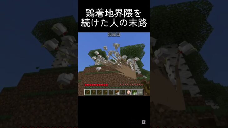 焼けた鳥はただの焼き鳥 #shots #minecraft #中学生 #マイクラ #マインクラフト #810
