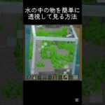 水中に良くあるやつ？ #shots #minecraft #中学生 #マイクラ #マインクラフト #810