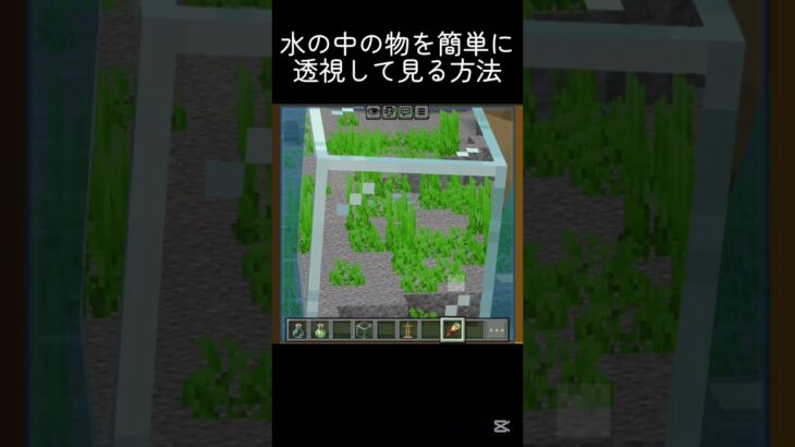 水中に良くあるやつ？ #shots #minecraft #中学生 #マイクラ #マインクラフト #810