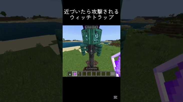 今ならポーション三種盛り #shots #minecraft #中学生 #マイクラ #マインクラフト #ゲーム #810