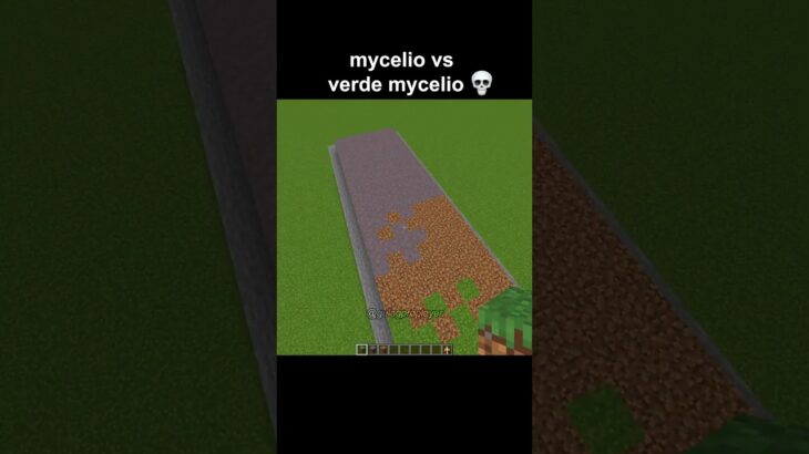 sta volta è andata diversamente….  #minecraft #shorts