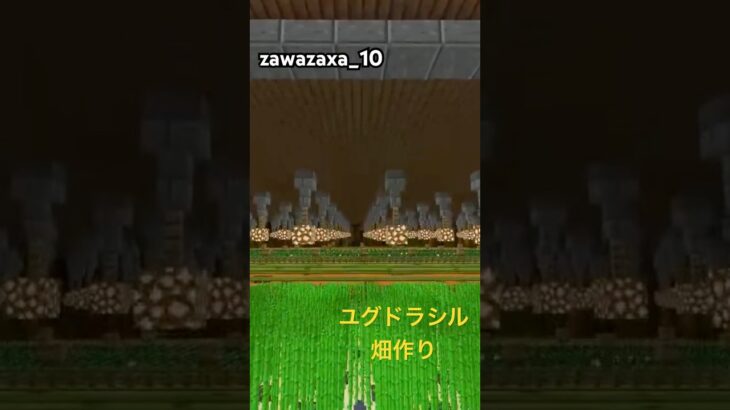世界樹（ユグドラシル）建築！畑作り #マイクラ #マインクラフト #switch #minecraft #実況 #ゲーム実況 #ショート動画 #ゲーム