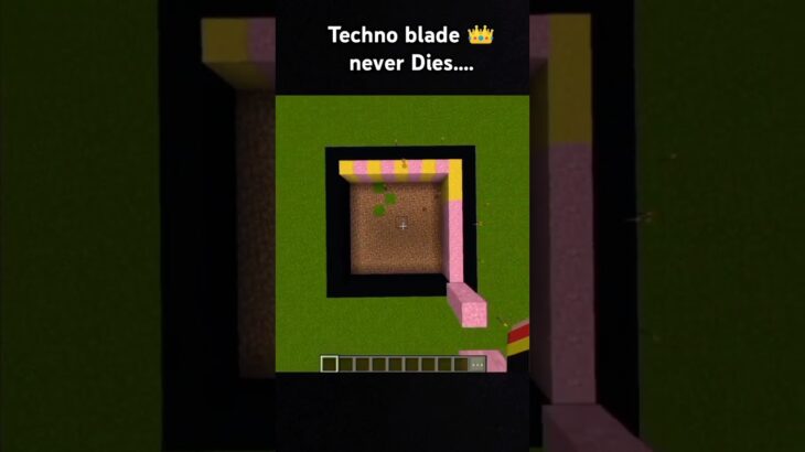 technoblade 👑 never dies…. Minecraft #indiangamer #hindigameplay #minecraftfunny #funny