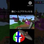 敵を殲滅 #undertale #sans ＃マイクラ＃Minecraft＃ポーランドボール＃countryball