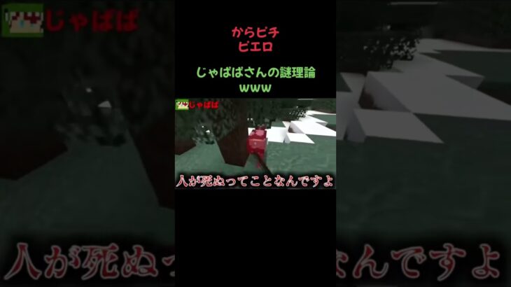 謎すぎて草 #からピチ #マイクラ #じゃっぴ