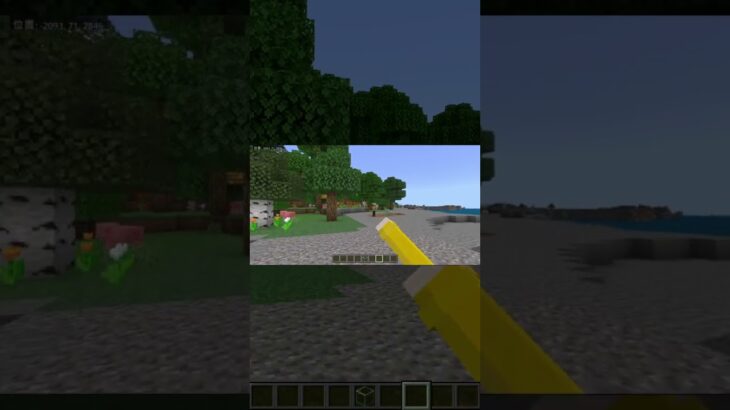 【コマンド簡単】マイクラサバイバルで使えるワンピースに出てくる四皇最強白ひげの能力『グラグラの力』が再現できるコマンド【スイッチ対応】 #マイクラ  #マインクラフト #統合版