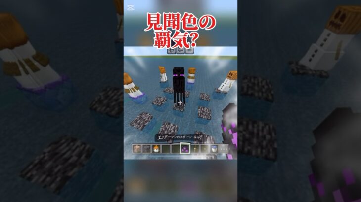 エンダーマン、覇気を覚える。#マイクラ#マインクラフト #ワンピース#覇気#ルフィ#マイクラ実況