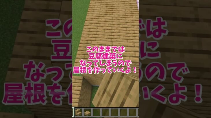 【マイクラ】いるクラ村に素敵な新居が誕生？ #いるクラ #マイクラ