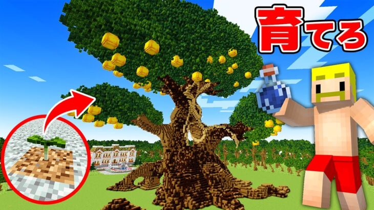 超巨大な金のリンゴがなる木を育てるまで終われません！【マイクラ】