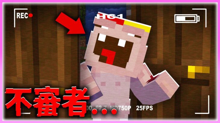 🌈女の子の家に怪しい警察官がたずねてきた結果… 【まいくら / マインクラフト】