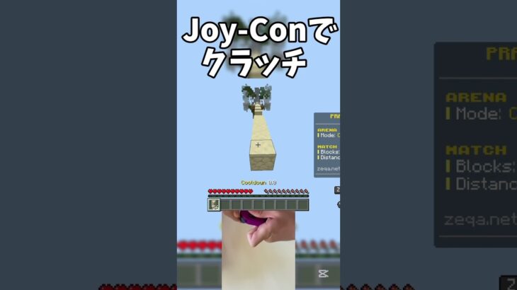 手元あり ジョイコンでクラッチ#マイクラ